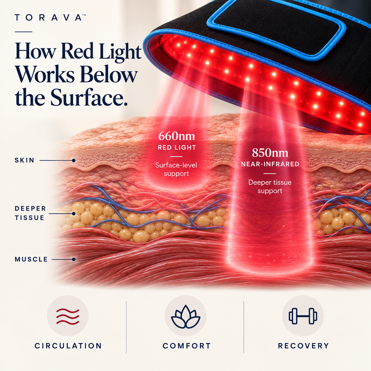 Torava™ Red Light Therapy Belt